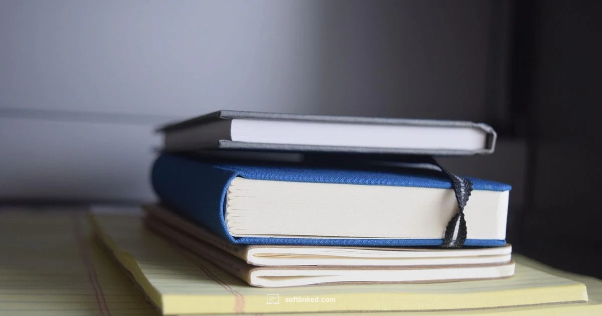 Office Suite Essentials - SoftLinked