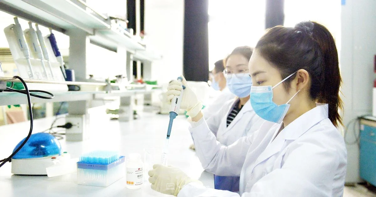 Software Engineering Degree - SoftLinked