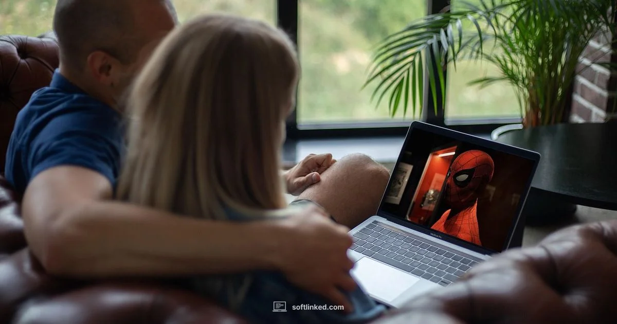 Pirate Streaming Insight - SoftLinked