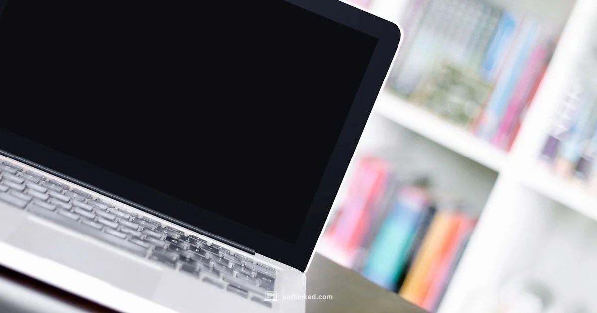 Software vs Hardware - SoftLinked