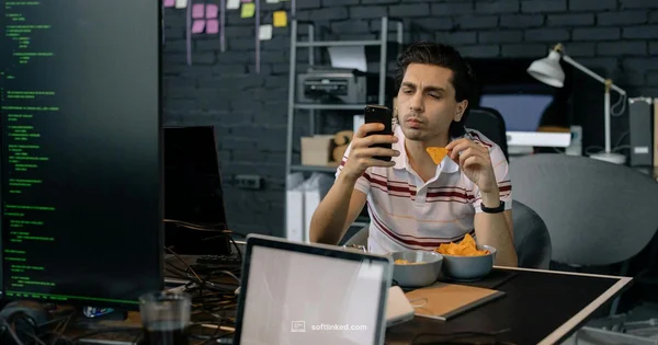 Software Tester Guide - SoftLinked