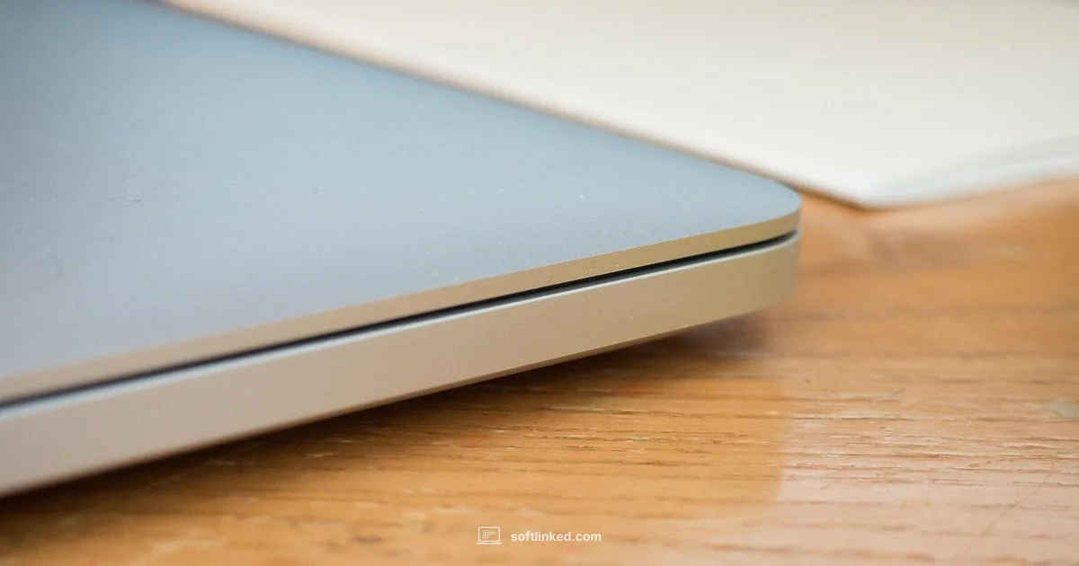 Mac File Recovery - SoftLinked