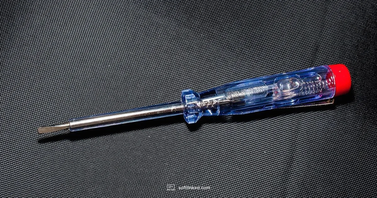 Tester Earnings Guide - SoftLinked