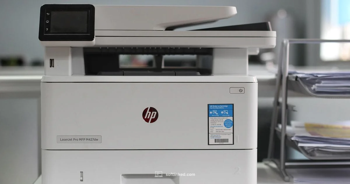 Epson Software Guide - SoftLinked