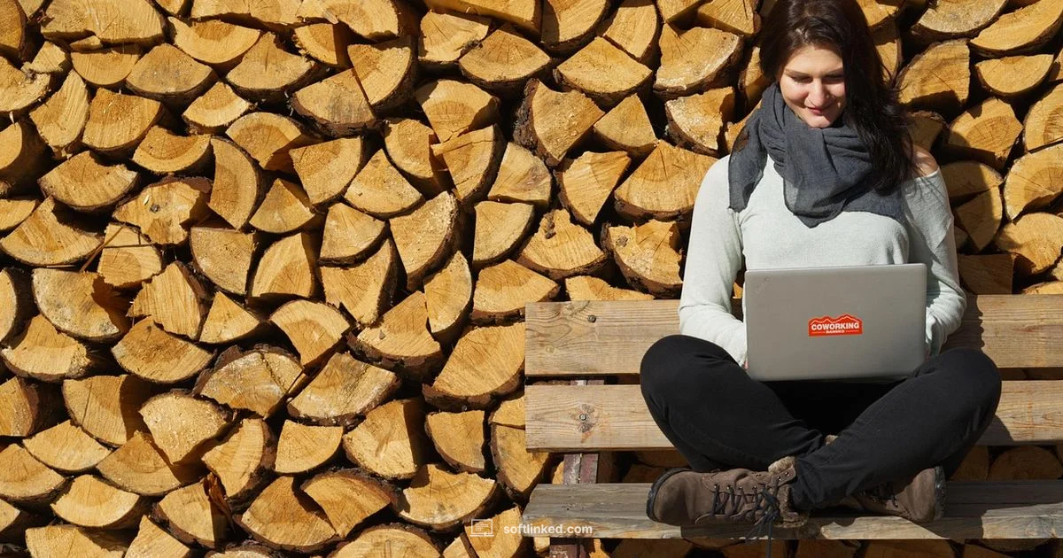 Job Search Playbook - SoftLinked