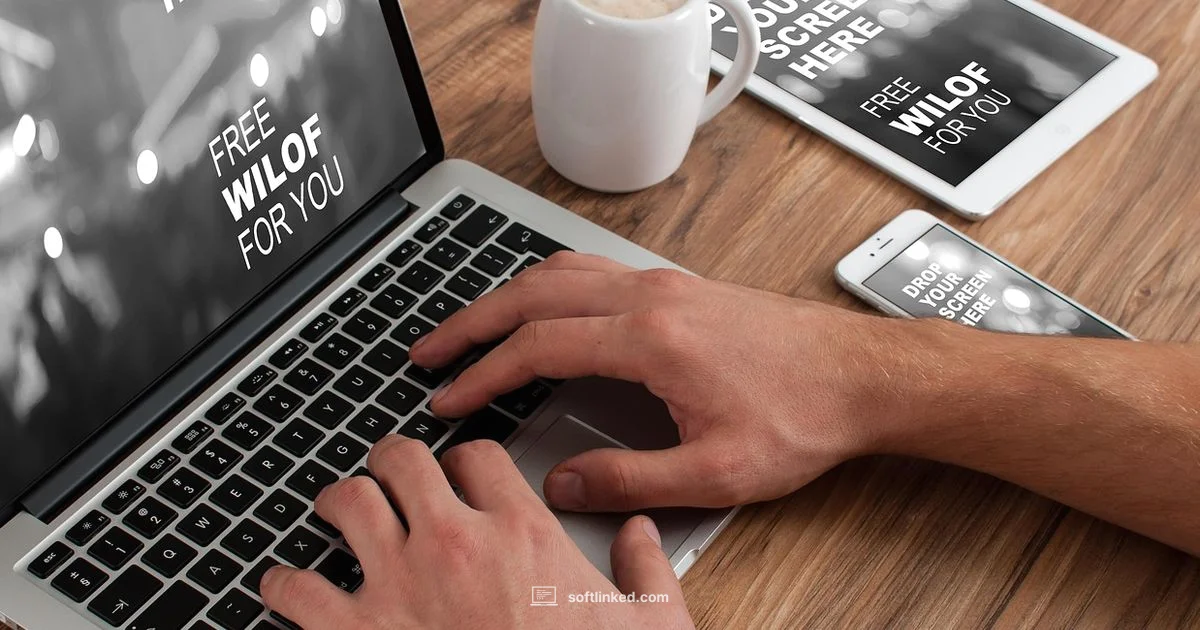 Quick Book Guide - SoftLinked