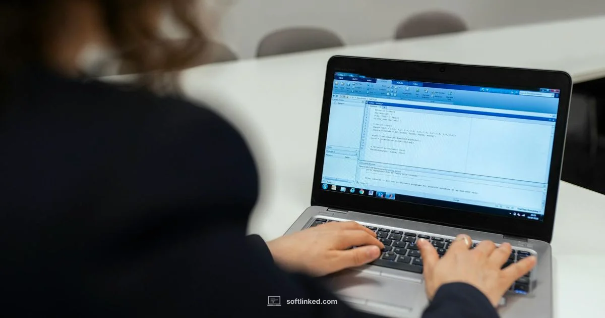 Software vs AI - SoftLinked