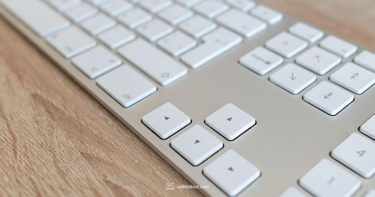 Word Processing Tools - SoftLinked