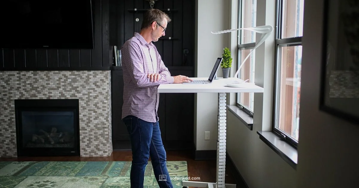 CCM Essentials - SoftLinked