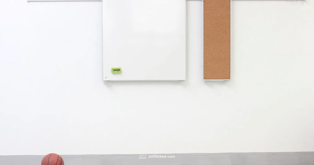 SRS Essentials - SoftLinked