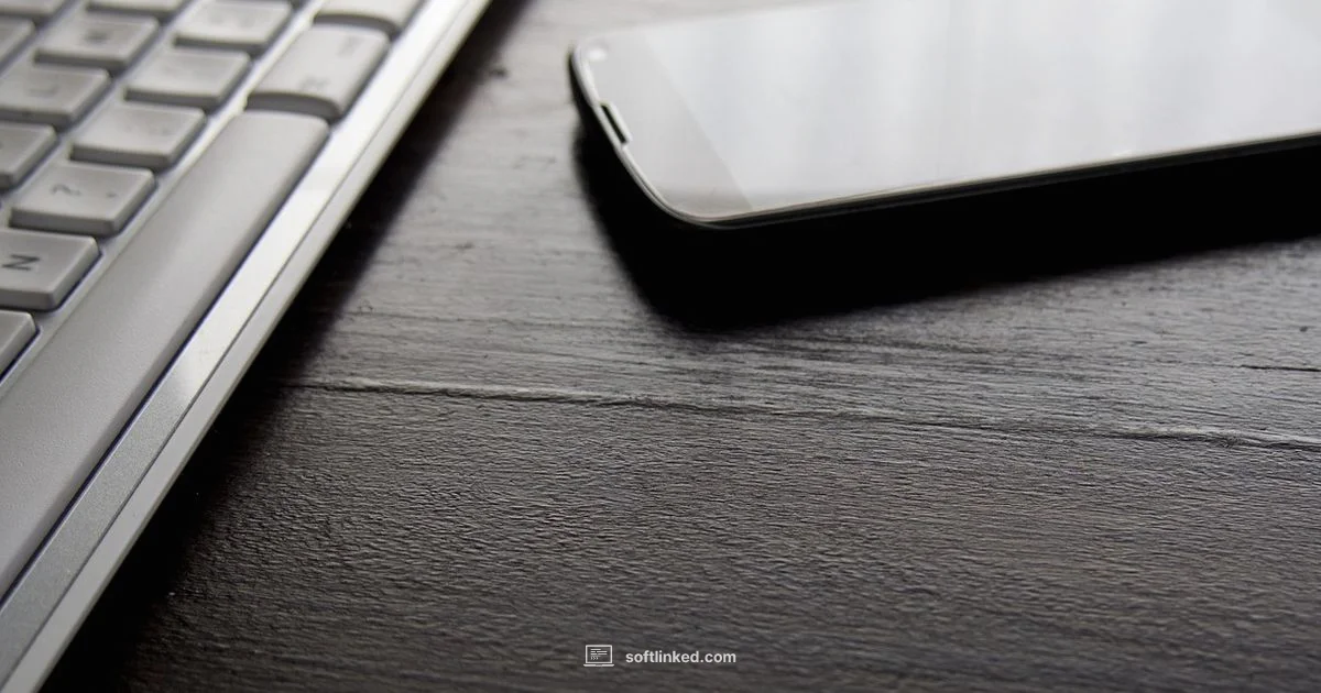 Software Asset - SoftLinked