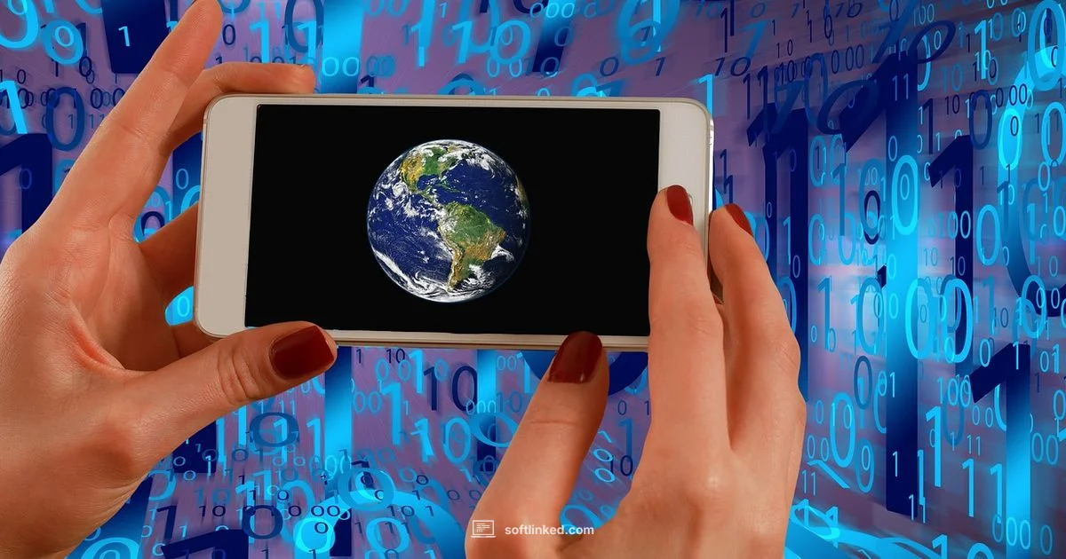 Word Usage - SoftLinked