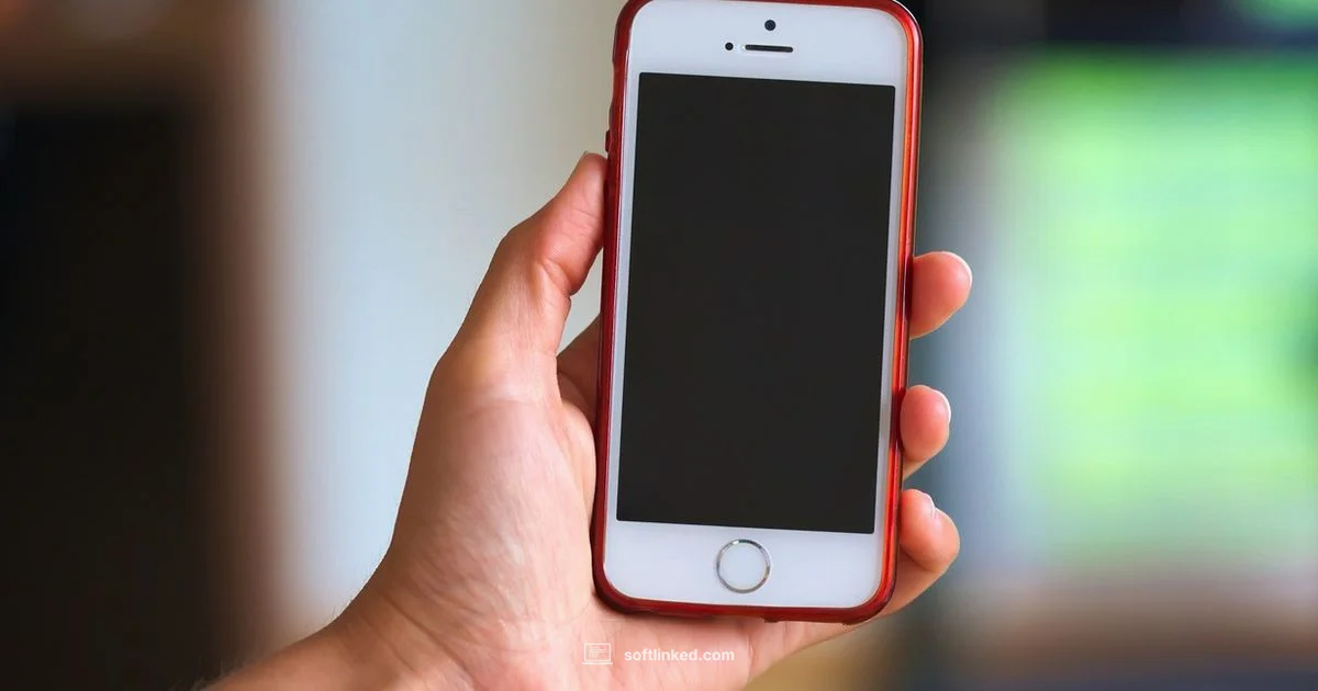 iPhone Privacy Check - SoftLinked