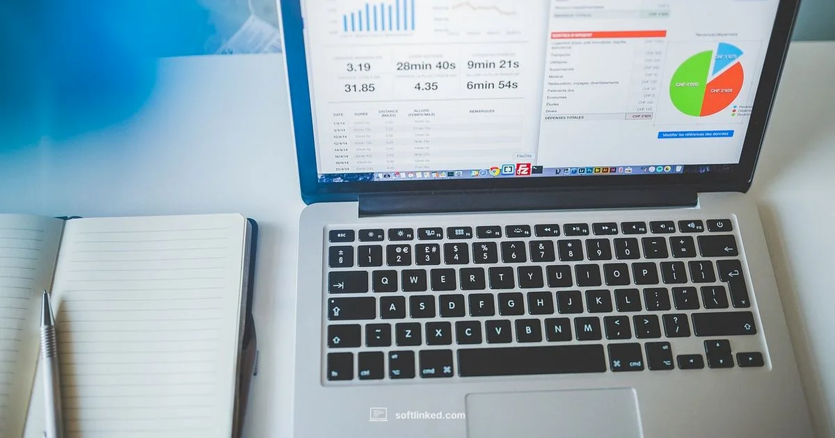 Python for Software - SoftLinked