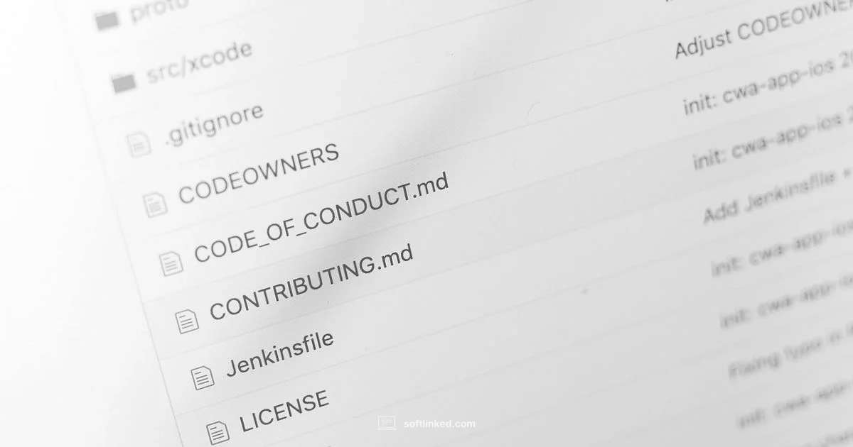 Beta Program Preview - SoftLinked