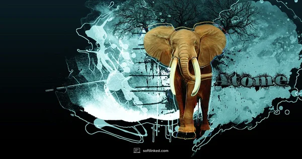 Photoshop Download Guide - SoftLinked