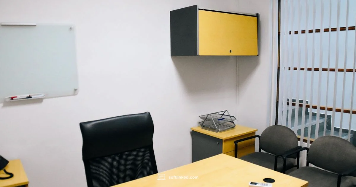 Earnings Snapshot Earnings Snapshot - SoftLinked