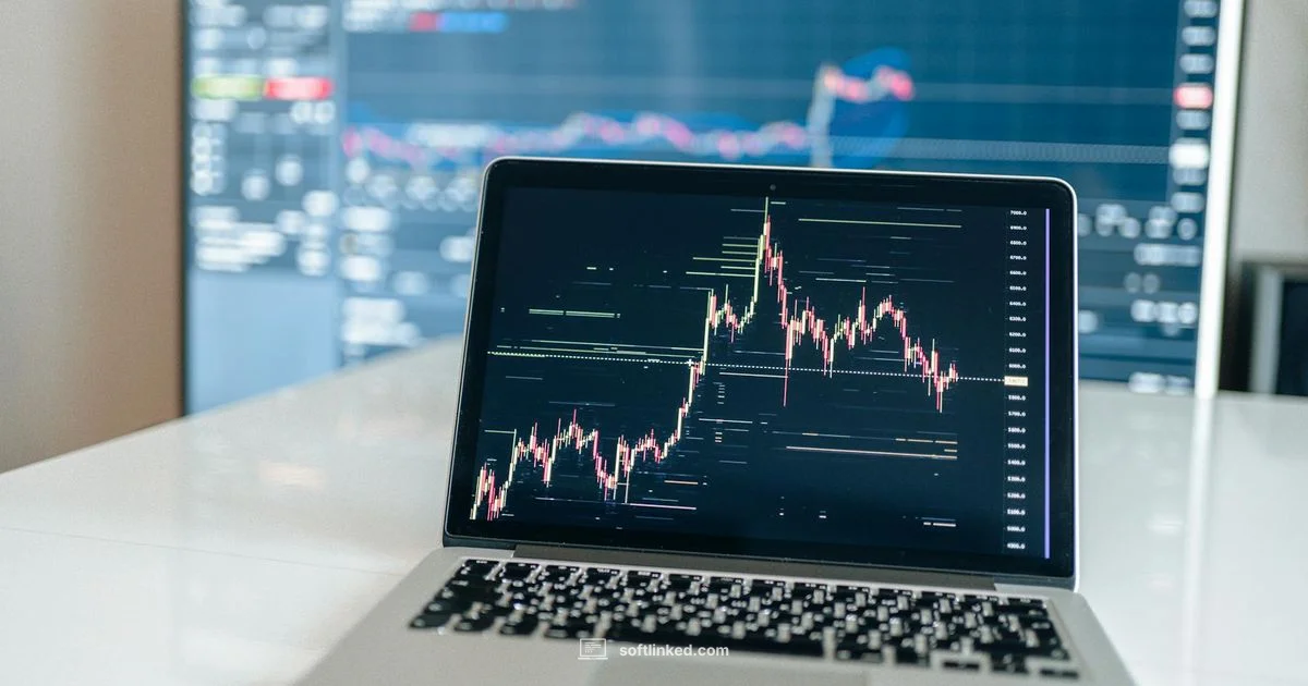 Tax Software Essentials - SoftLinked