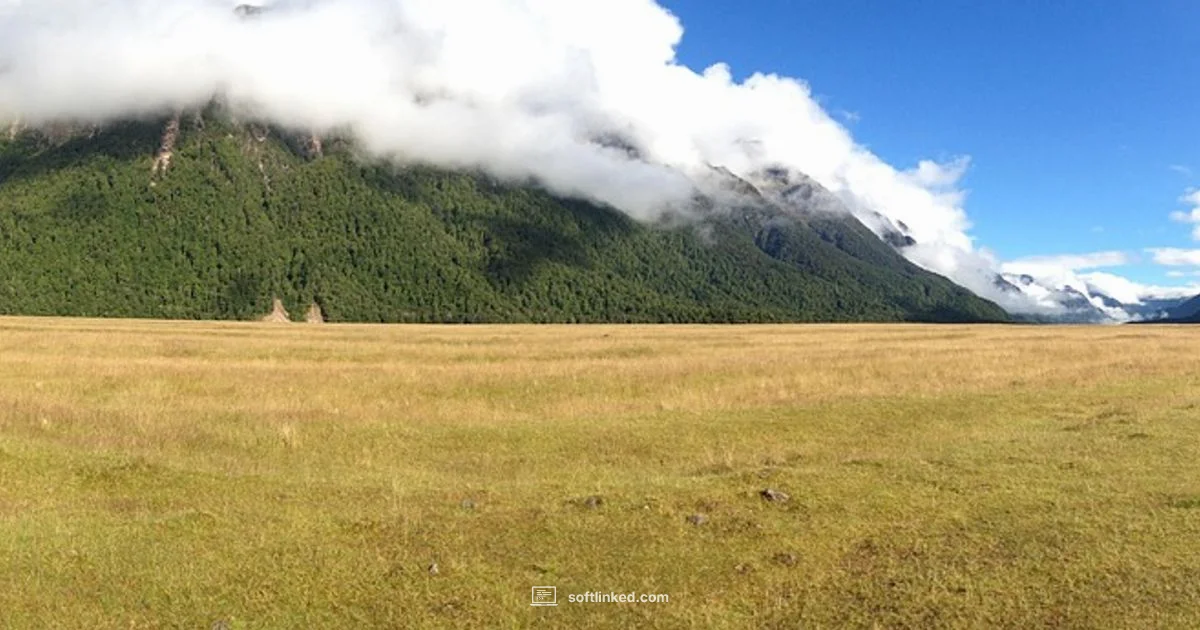 Post Update Guide - SoftLinked