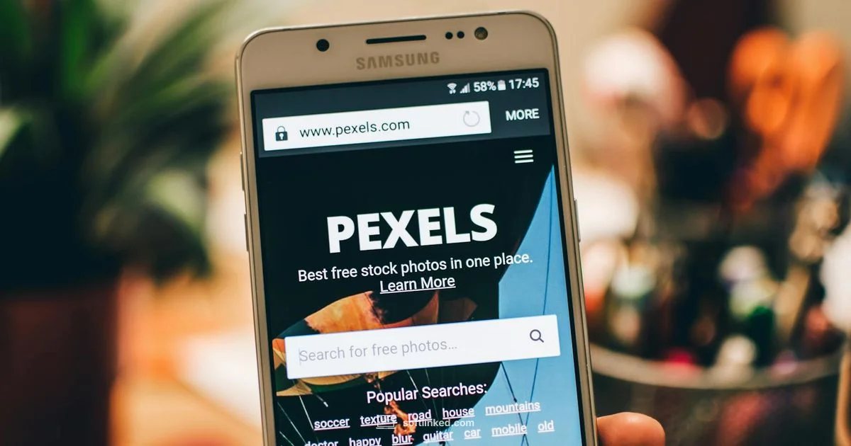 Mac Update Guide - SoftLinked