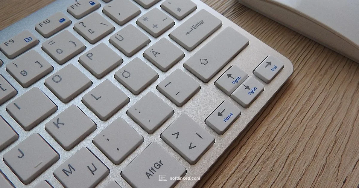 Redragon on Mac - SoftLinked