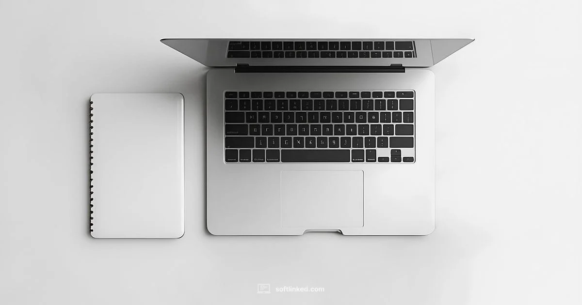 Global Software Engineers 2026 - SoftLinked