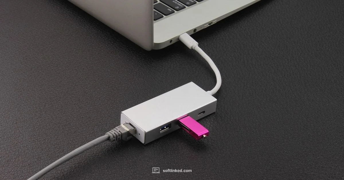 Update Interruption Risk - SoftLinked