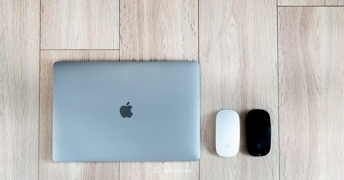 AMD Software Review - SoftLinked