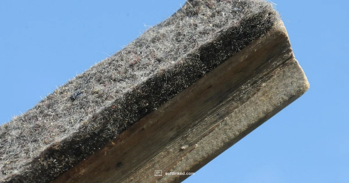 Classroom Control - SoftLinked