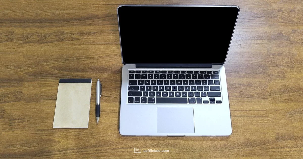 What is software vs program - SoftLinked