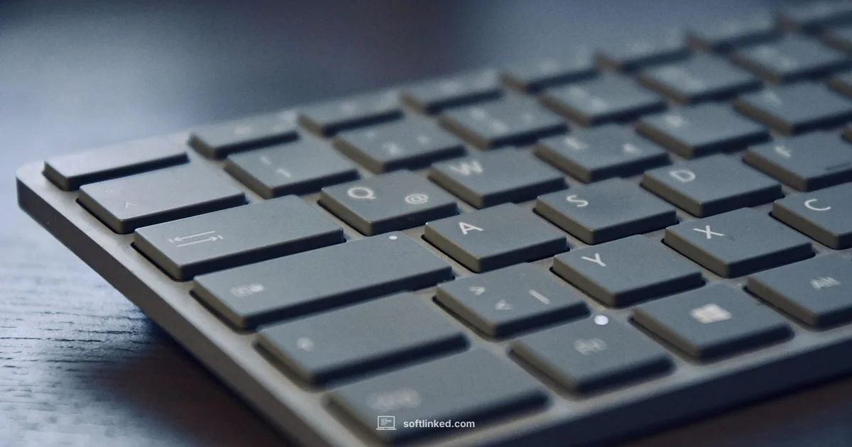 Software and Hardware Software and Hardware - SoftLinked