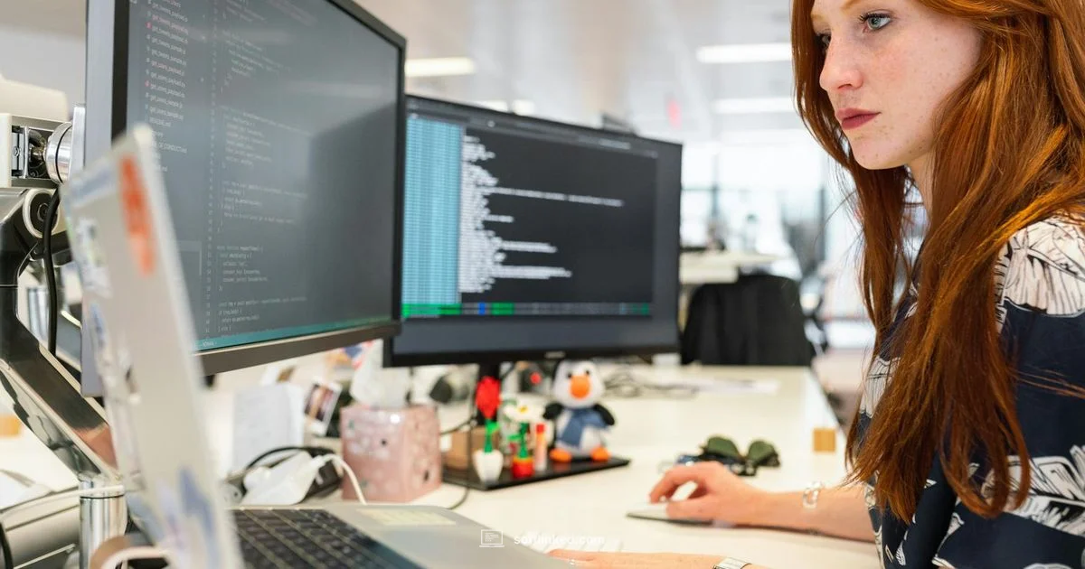 Software Patents Guide - SoftLinked