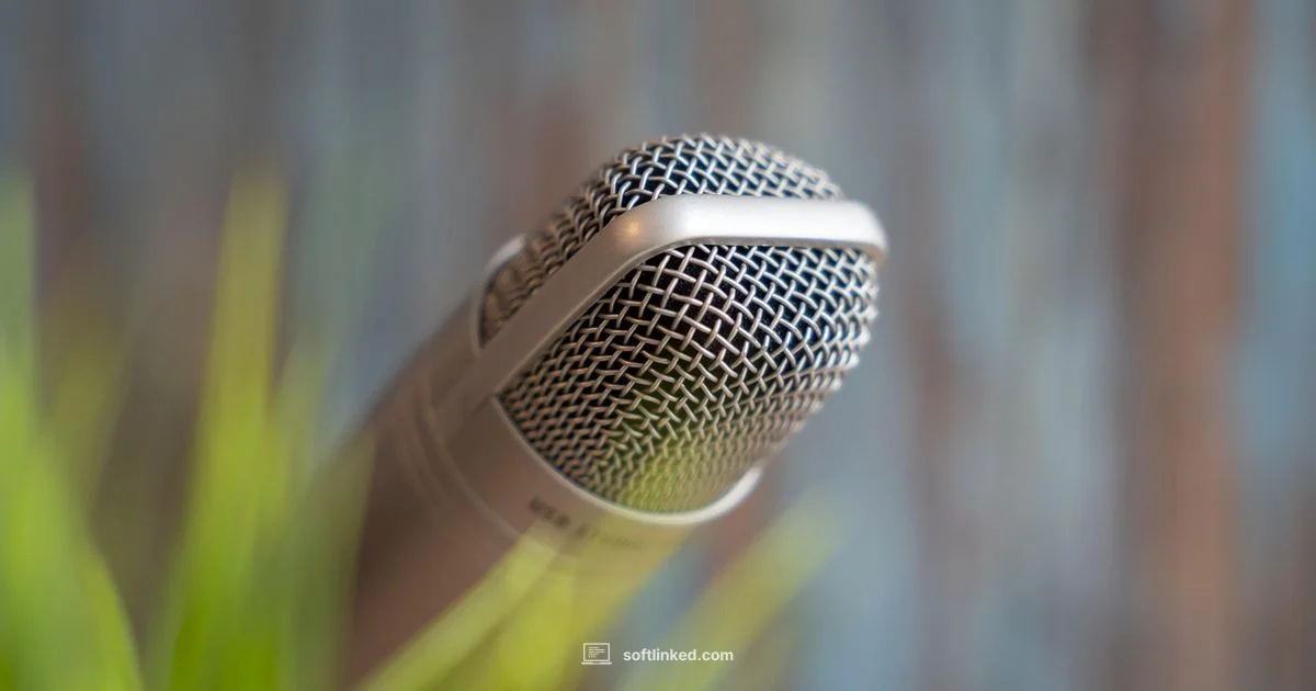 Podcast Workflow Tools - SoftLinked