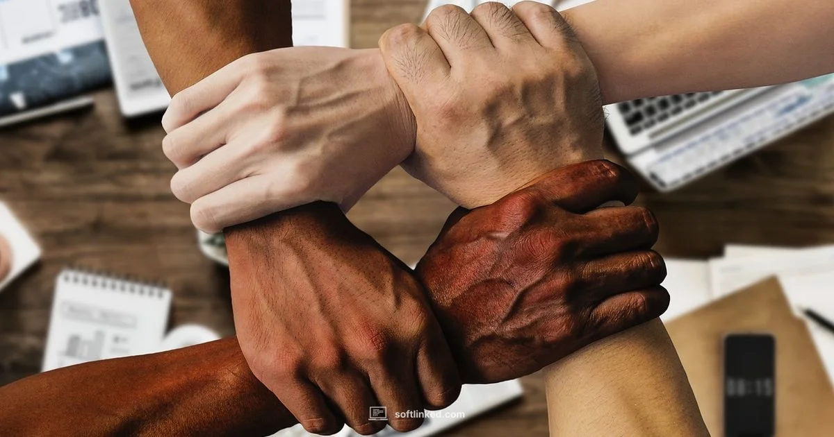 Sustainable Open-Source Sustainable Open-Source - SoftLinked