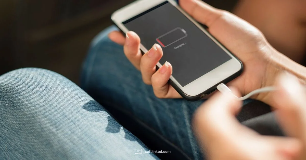 Infinix Software Guide - SoftLinked