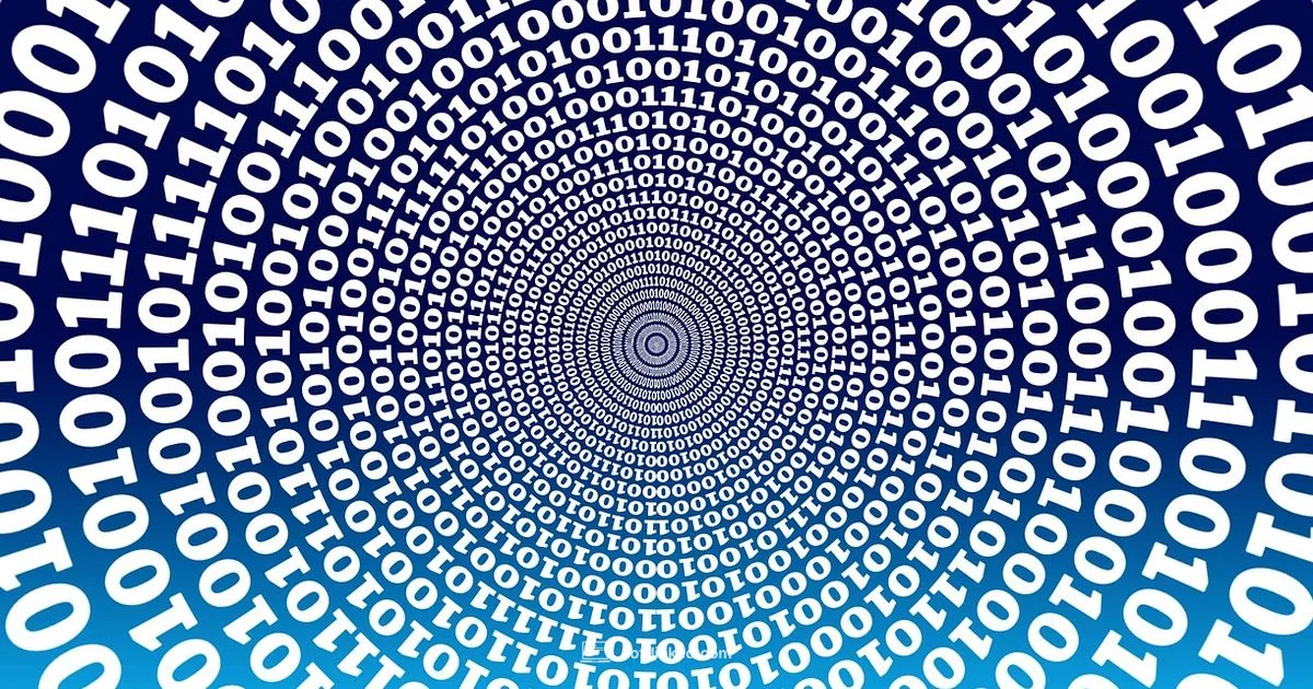 Binary Coding Basics - SoftLinked