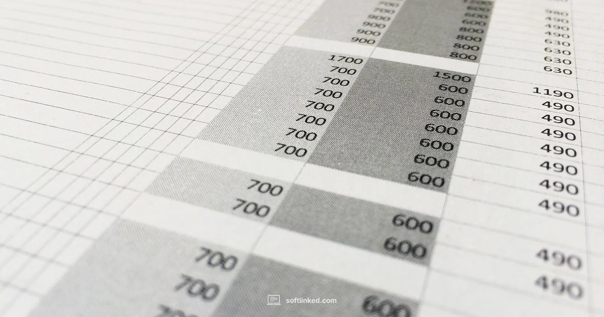Excel App in Action - SoftLinked