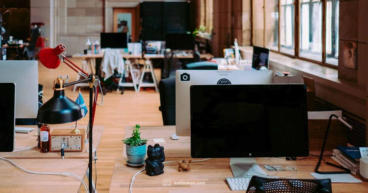 System Software Guide - SoftLinked