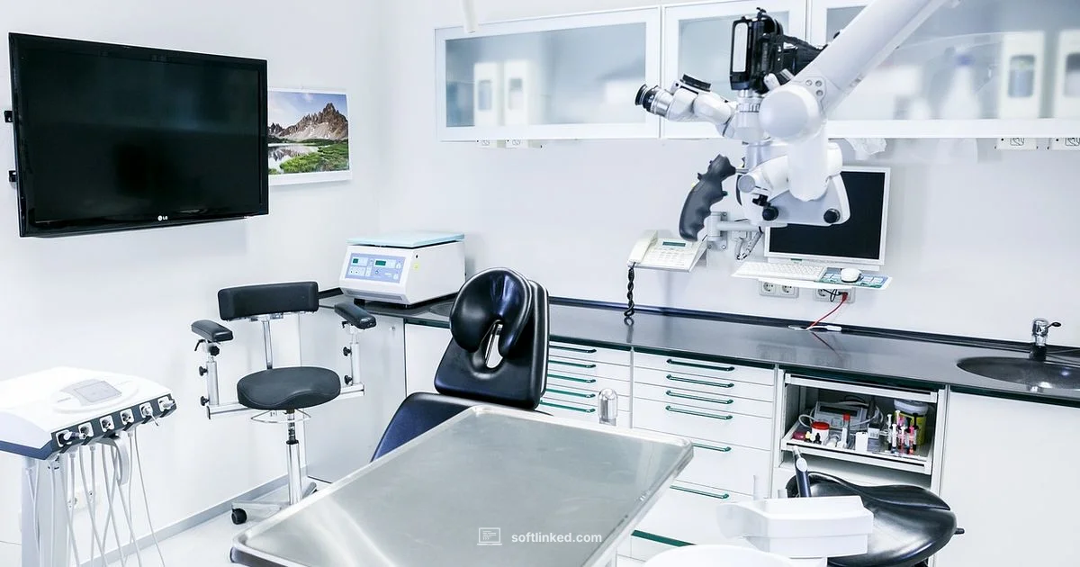 Testing Essentials for QA - SoftLinked