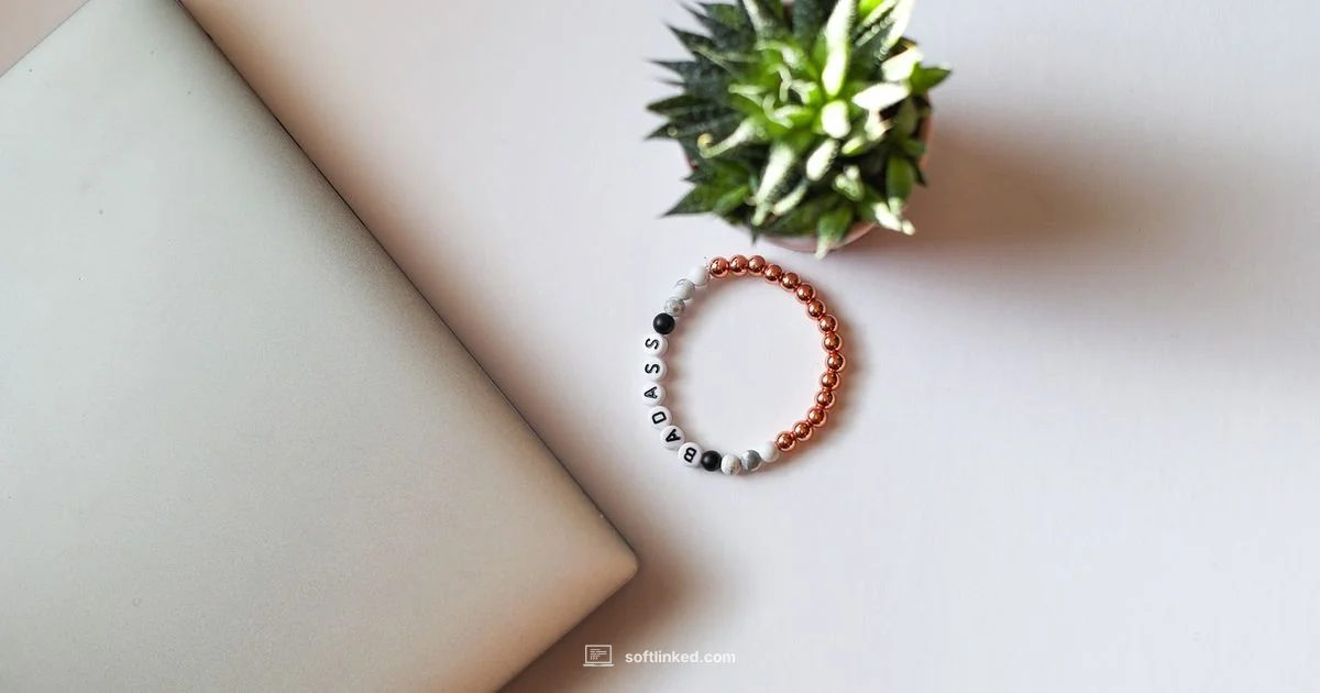 Portfolio in Practice - SoftLinked