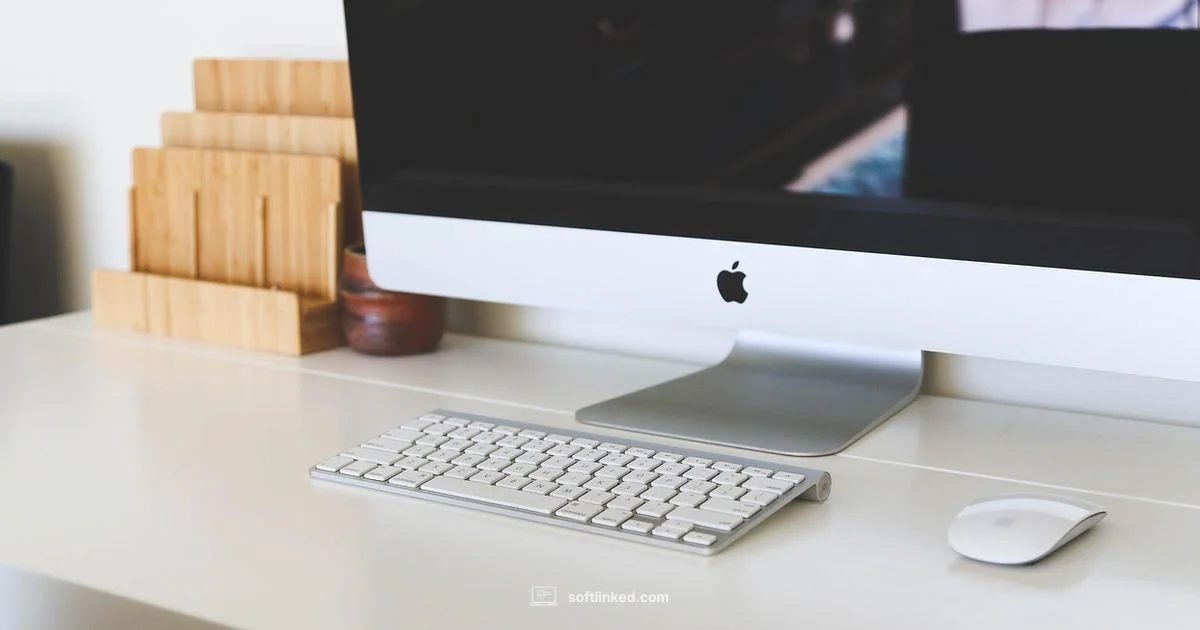 FileMaker Pro Guide - SoftLinked