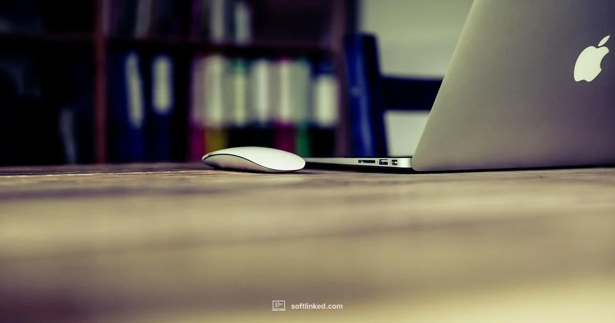 Spelling in Tech - SoftLinked