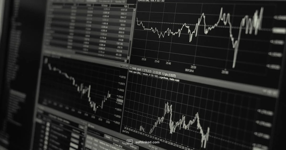 R Licensing Guide - SoftLinked