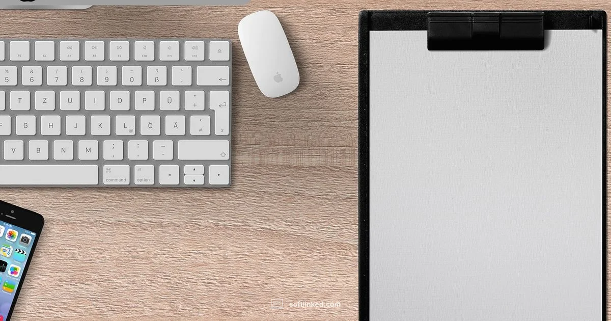 SAP ERP Overview - SoftLinked