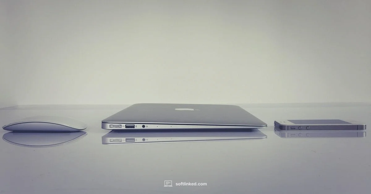 Free PDF Readers - SoftLinked