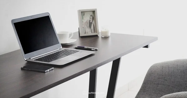 Earnings Reality - SoftLinked