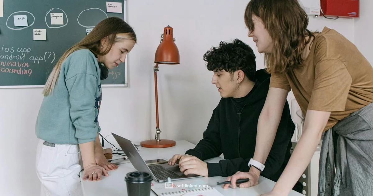 Development in Action - SoftLinked