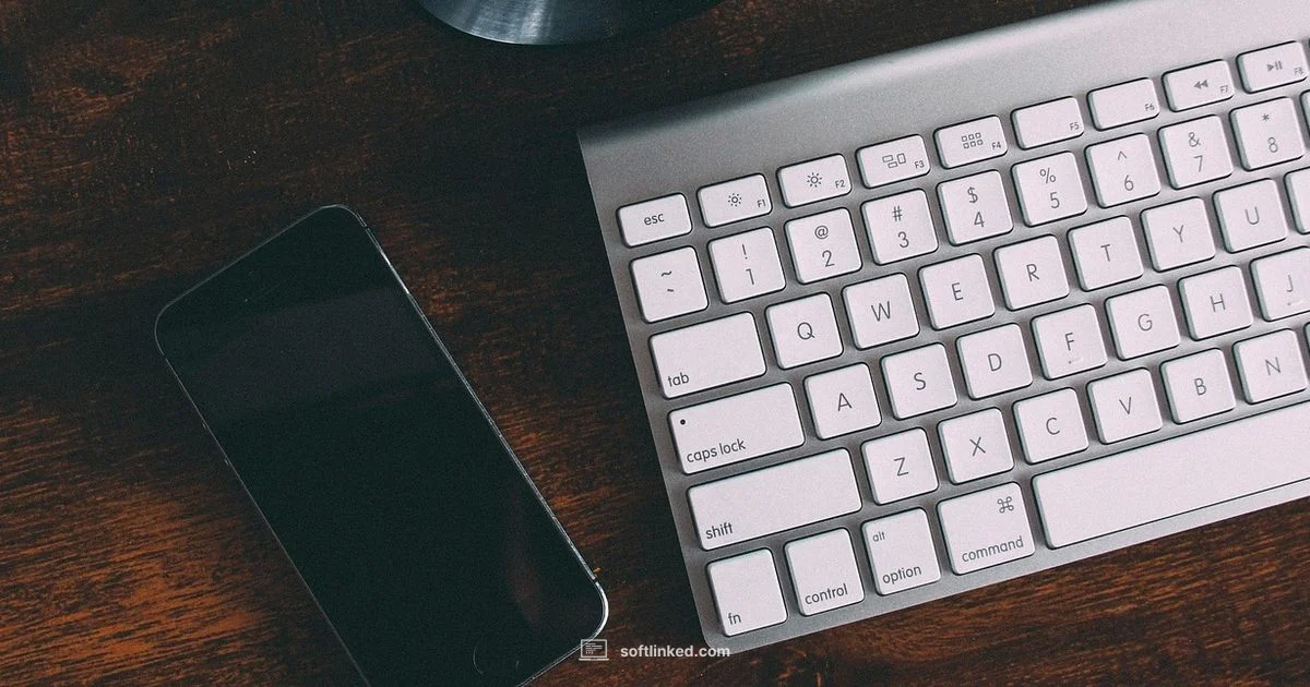 Phone Coding On The Go - SoftLinked