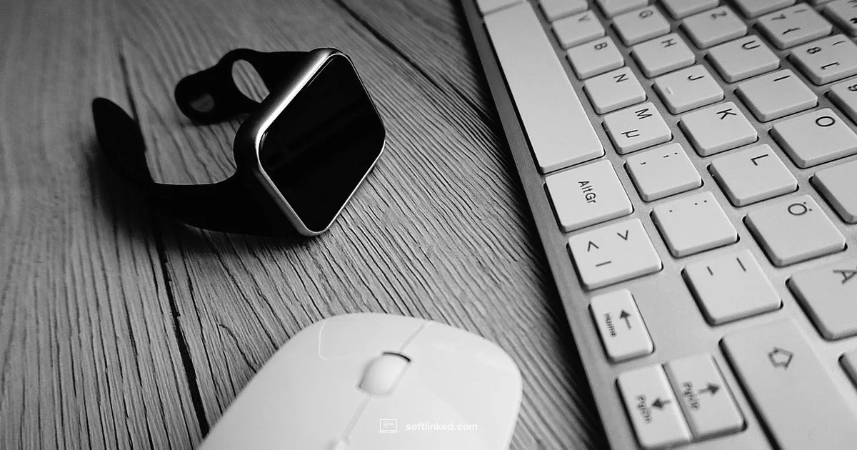 Garmin Firmware Update - SoftLinked