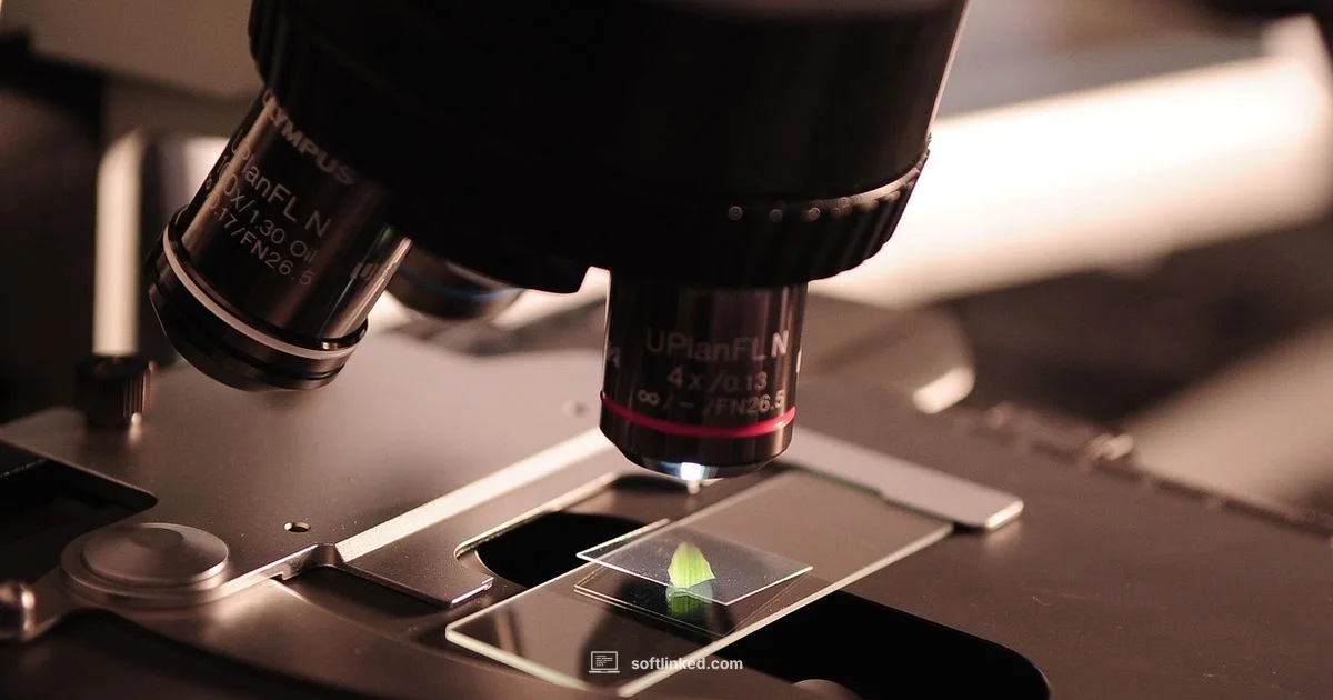 Software Engineering PhD Software Engineering PhD - SoftLinked